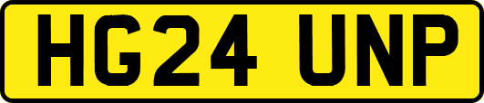 HG24UNP