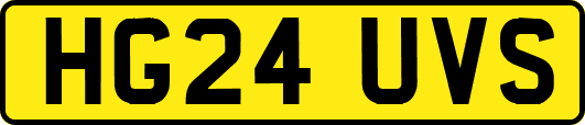 HG24UVS