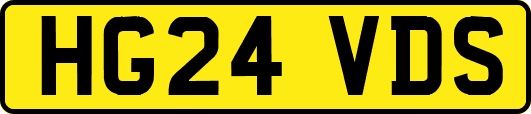 HG24VDS