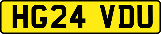 HG24VDU