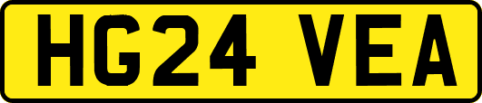 HG24VEA