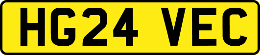 HG24VEC