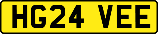 HG24VEE