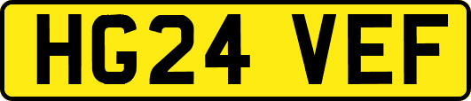 HG24VEF