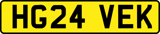 HG24VEK