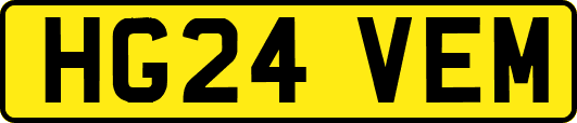 HG24VEM