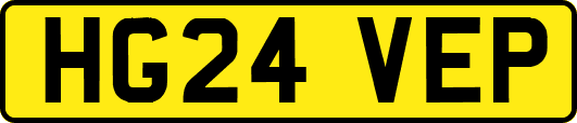HG24VEP