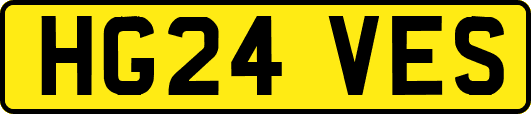 HG24VES
