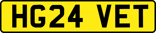 HG24VET
