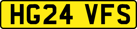 HG24VFS