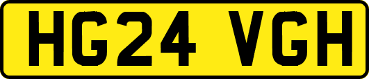 HG24VGH