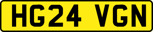 HG24VGN