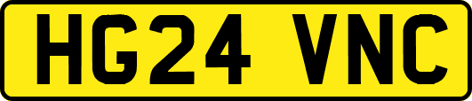 HG24VNC