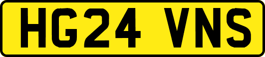 HG24VNS