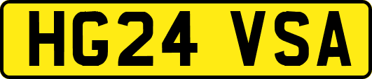 HG24VSA