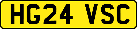 HG24VSC