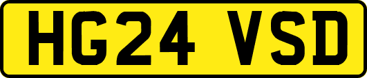 HG24VSD