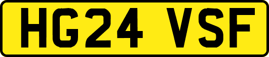 HG24VSF