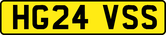 HG24VSS