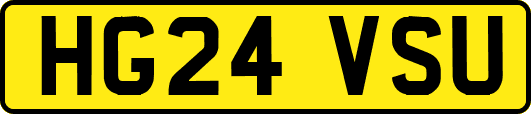 HG24VSU