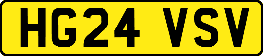 HG24VSV