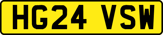 HG24VSW