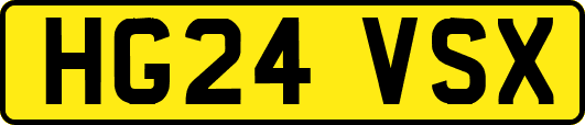 HG24VSX