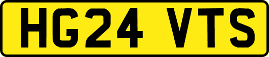 HG24VTS