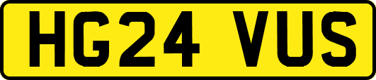 HG24VUS