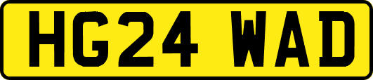HG24WAD