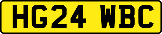 HG24WBC