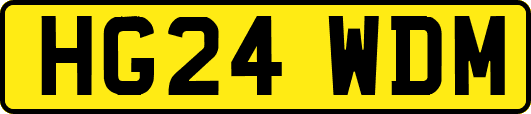 HG24WDM