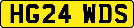 HG24WDS