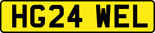 HG24WEL