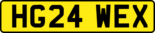 HG24WEX