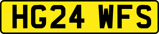 HG24WFS