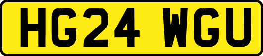 HG24WGU