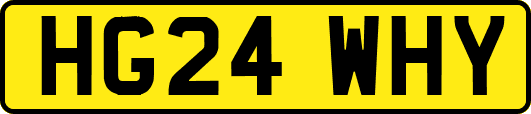 HG24WHY