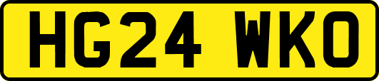 HG24WKO