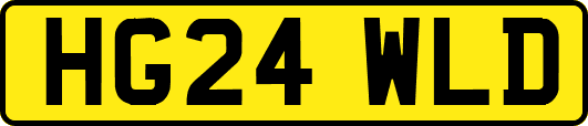 HG24WLD
