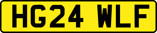 HG24WLF