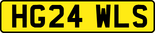 HG24WLS