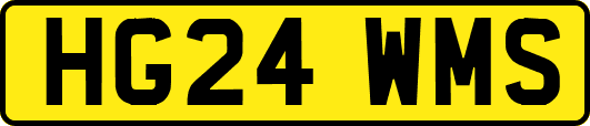 HG24WMS