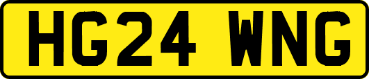 HG24WNG