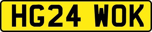 HG24WOK