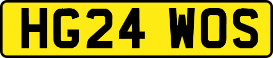 HG24WOS