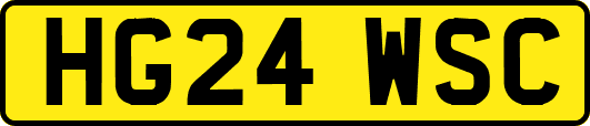 HG24WSC