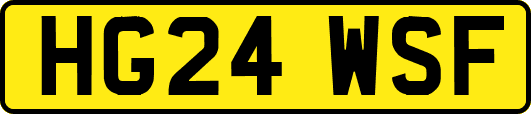 HG24WSF