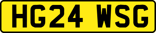 HG24WSG