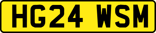 HG24WSM
